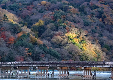 早朝の渡月橋